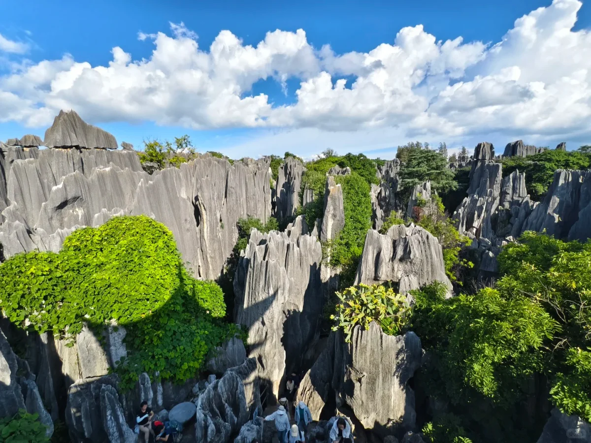 Kunming Tours
