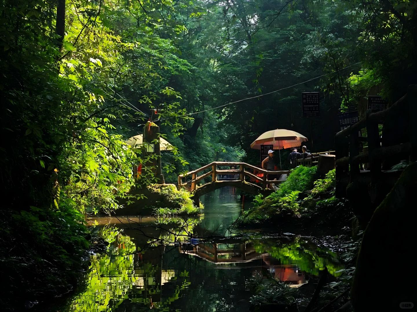 Qingcheng Mountain Front‑Mountain visit