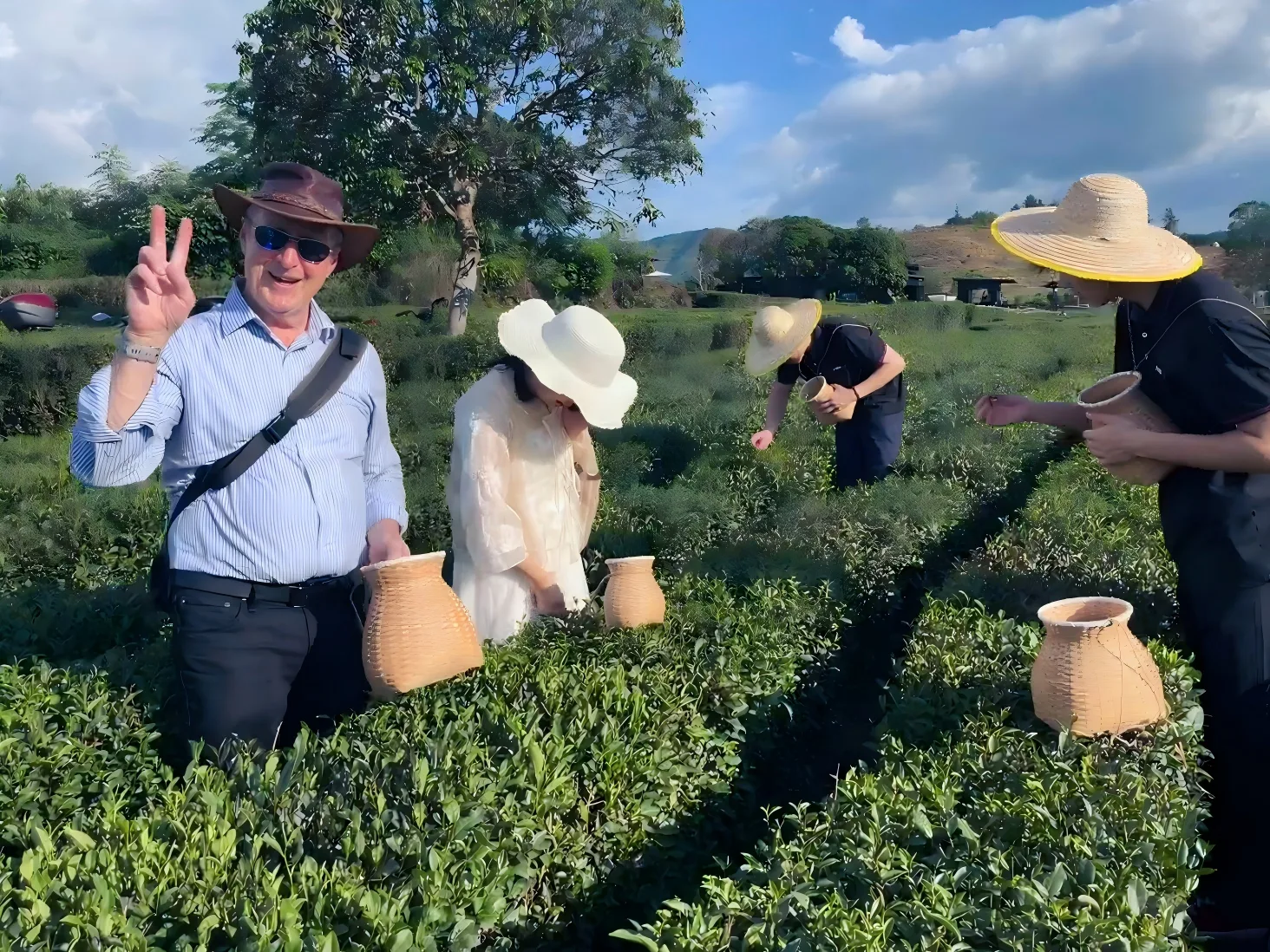 Longjing tea‑plantation experience - Photo 1
