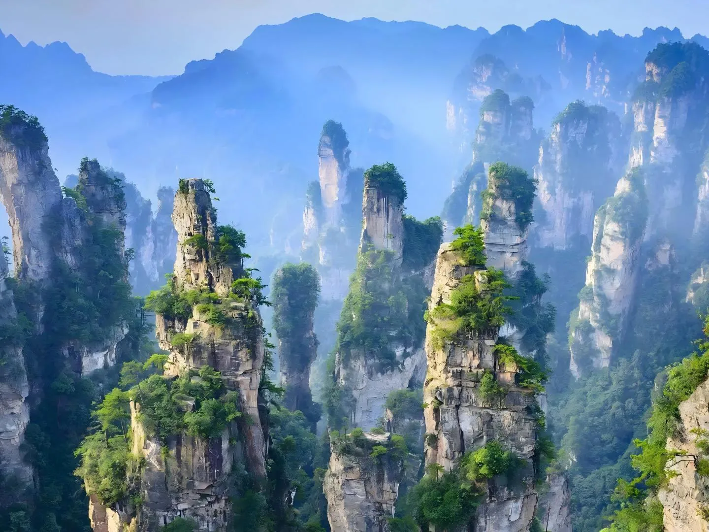 1‑Day Zhangjiajie National Forest Park & Dayong Ancient City Night Market Small‑Group Tour