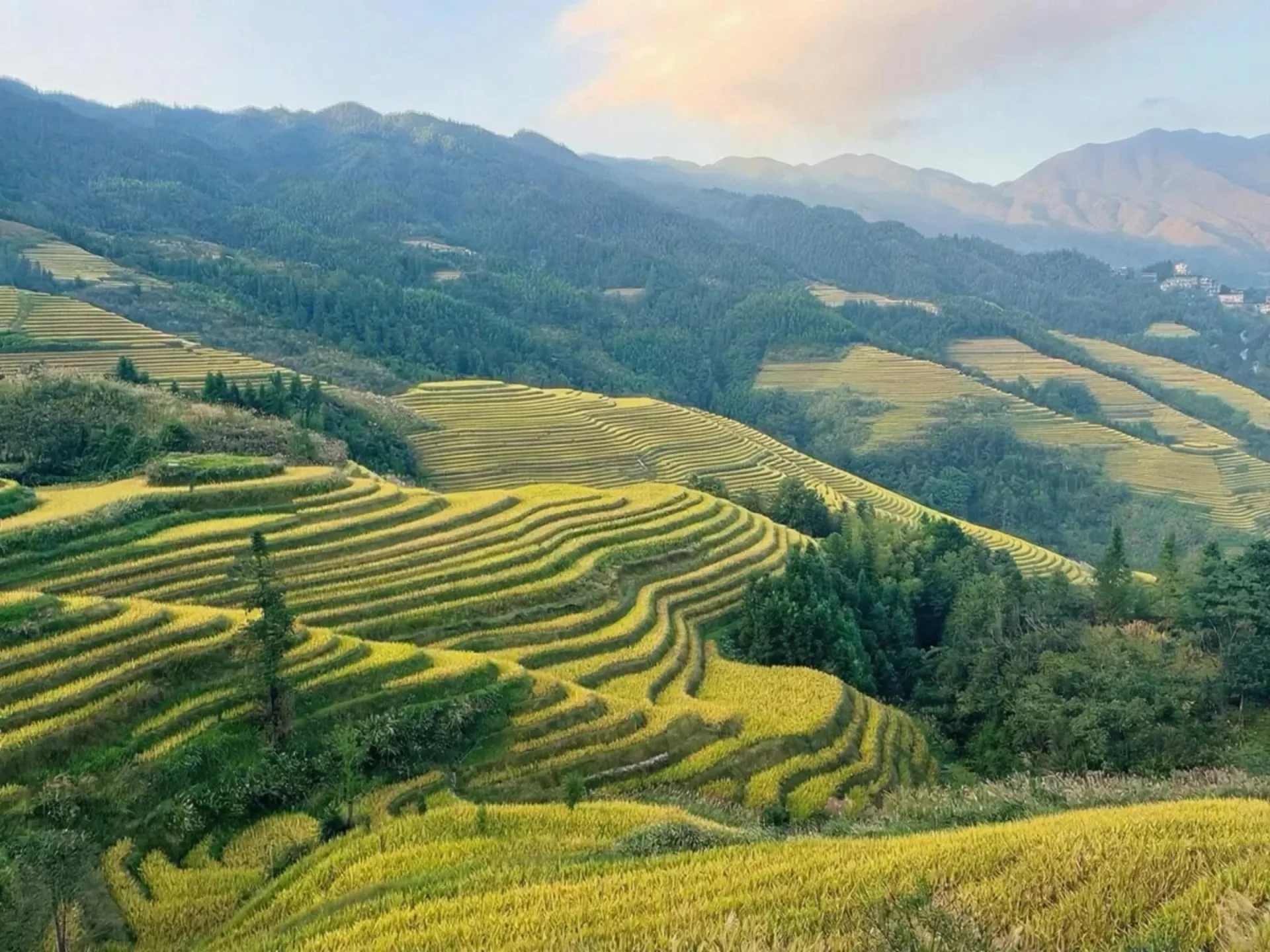 Longji Rice Terraces, Jinkeng Dazhai & Sunset Views - Photo 1