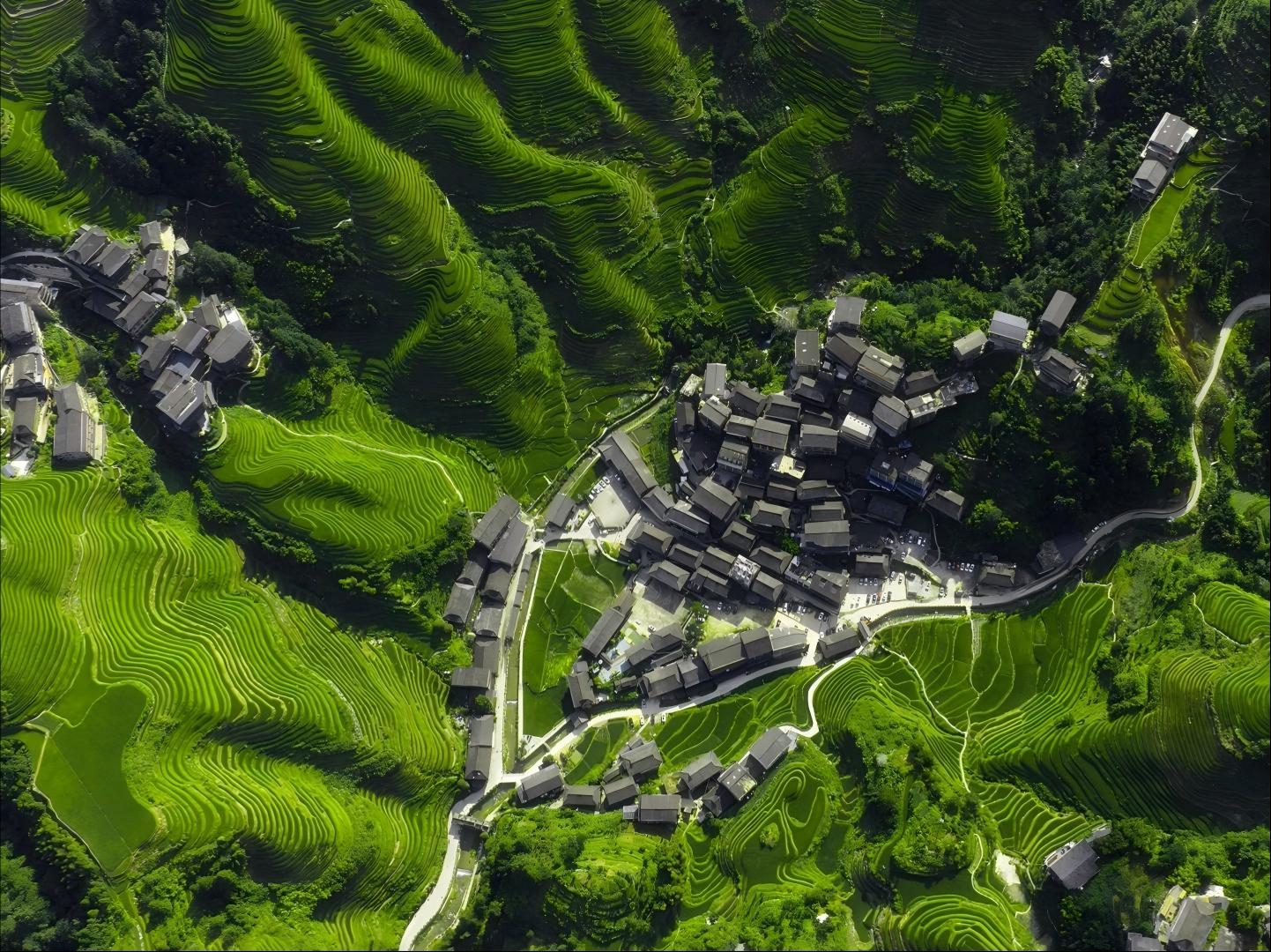 Longji Rice Terraces, Jinkeng Dazhai & Sunset Views - Photo 2