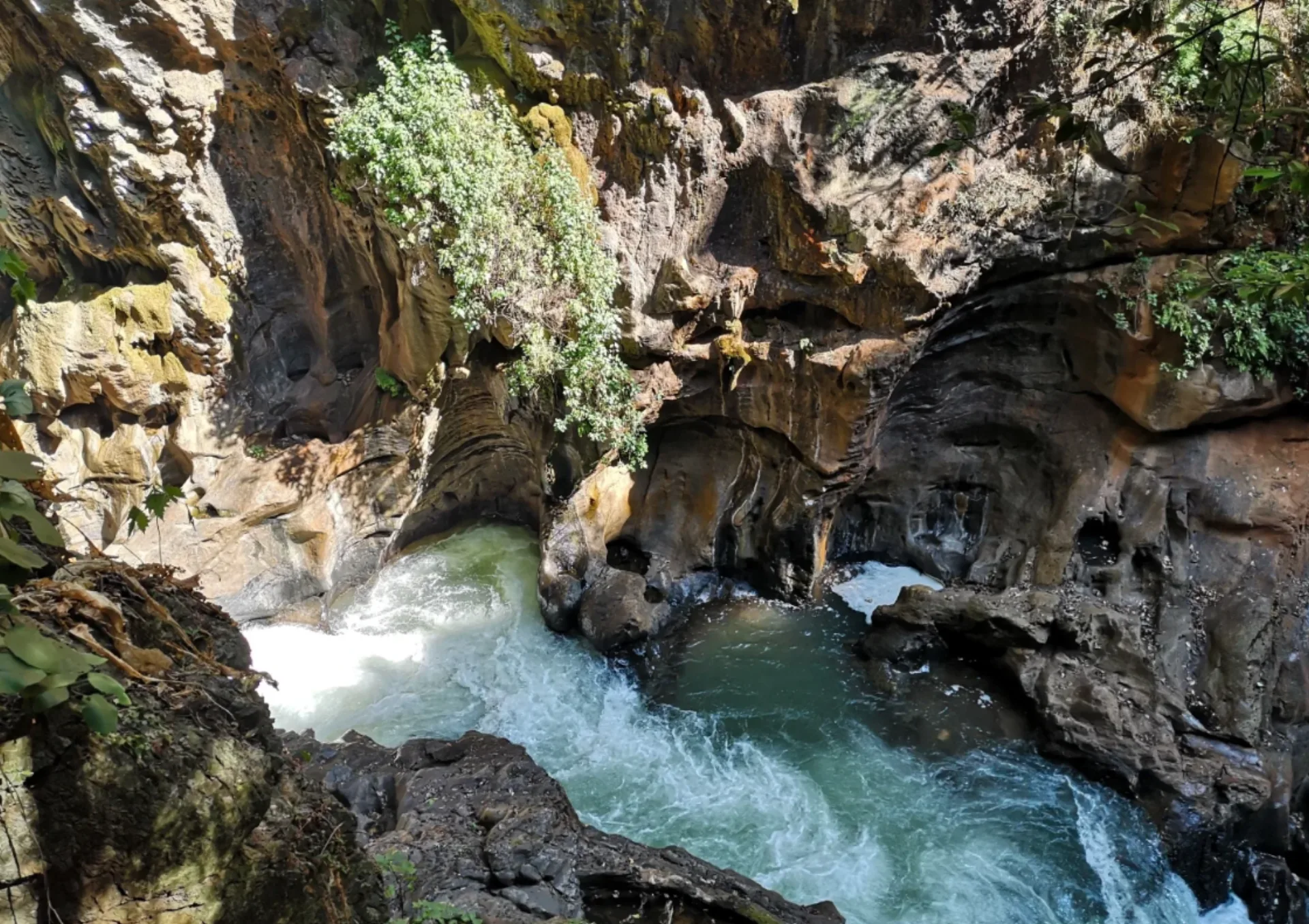 Stone Forest & Kunming City Highlights - Photo 1