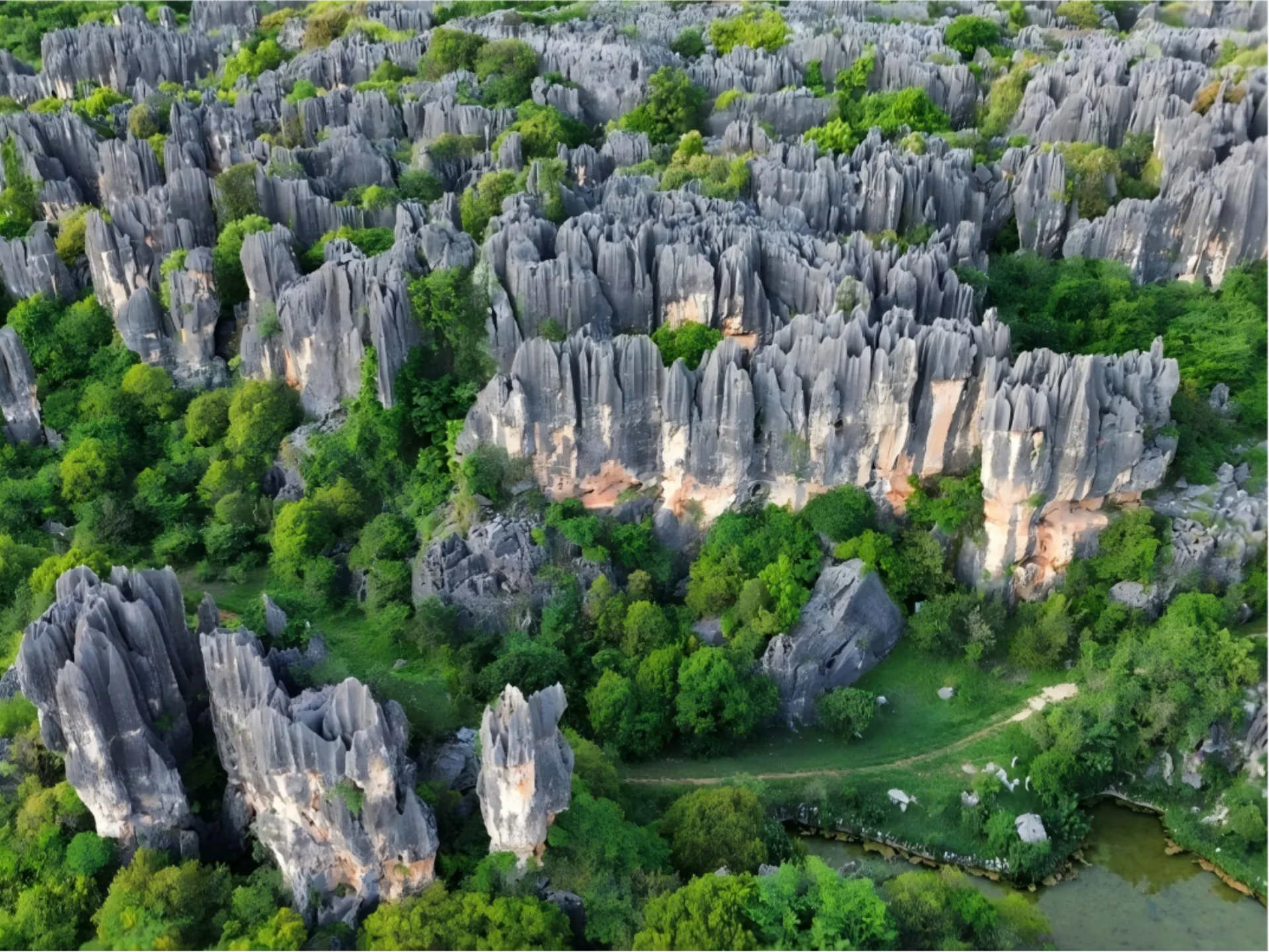 Stone Forest & Kunming City Highlights - Photo 4