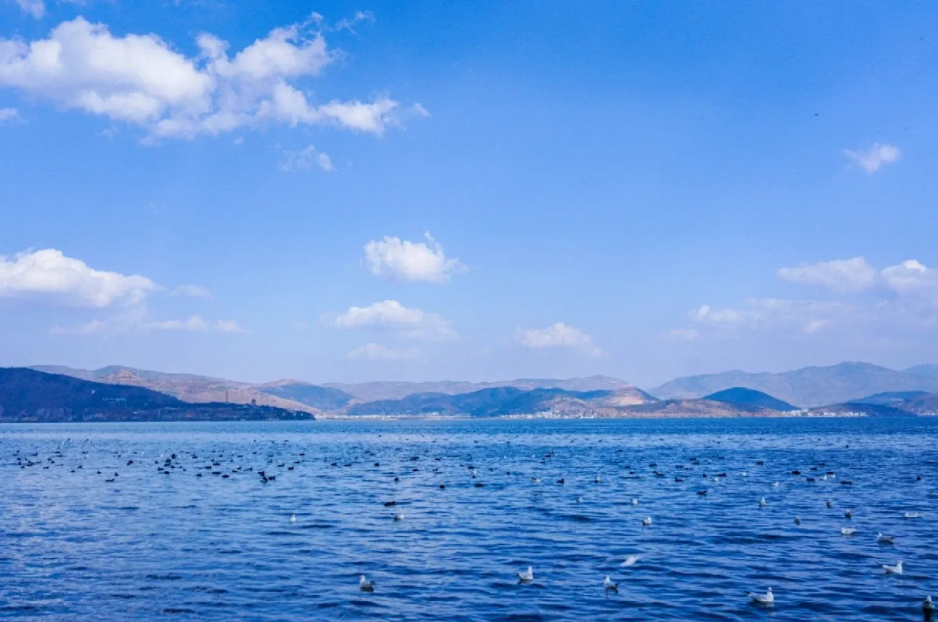 Dali Ideal State, Erhai Lake Cruise & Dali Ancient City - Photo 1