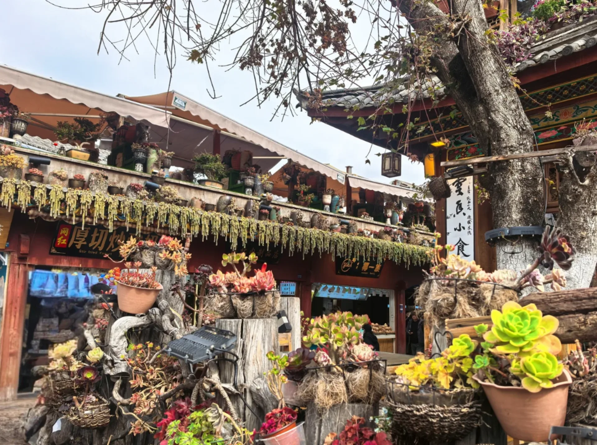 Lijiang Ancient Town, Mufu Palace, Tie-Dye Workshop & Shuhe Ancient Town - Photo 1
