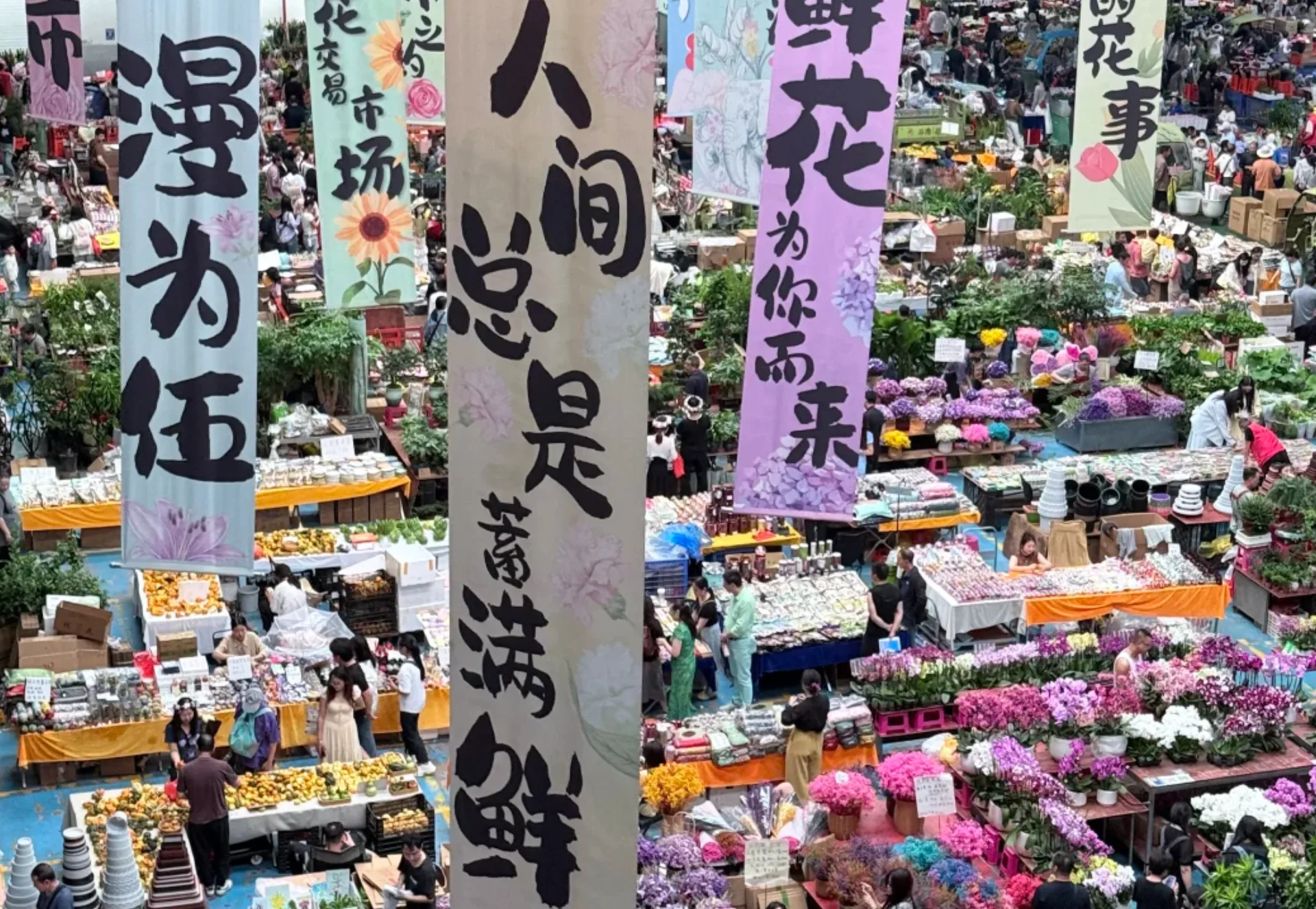 Cuihu Park, Guandu, Haigeng Dam & Dounan Flower Market - Photo 2