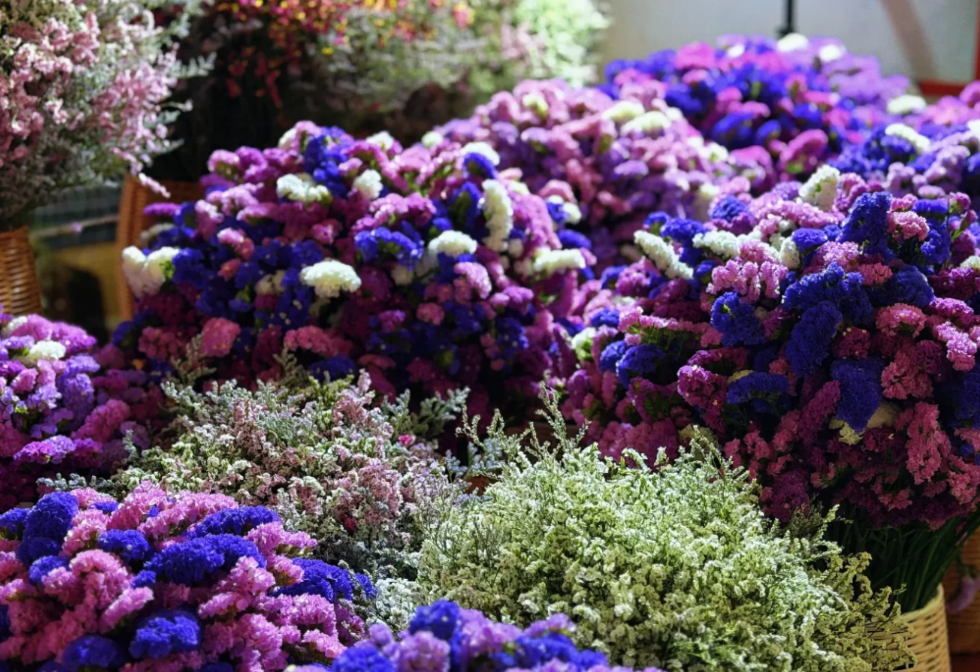 Cuihu Park, Guandu, Haigeng Dam & Dounan Flower Market - Photo 3