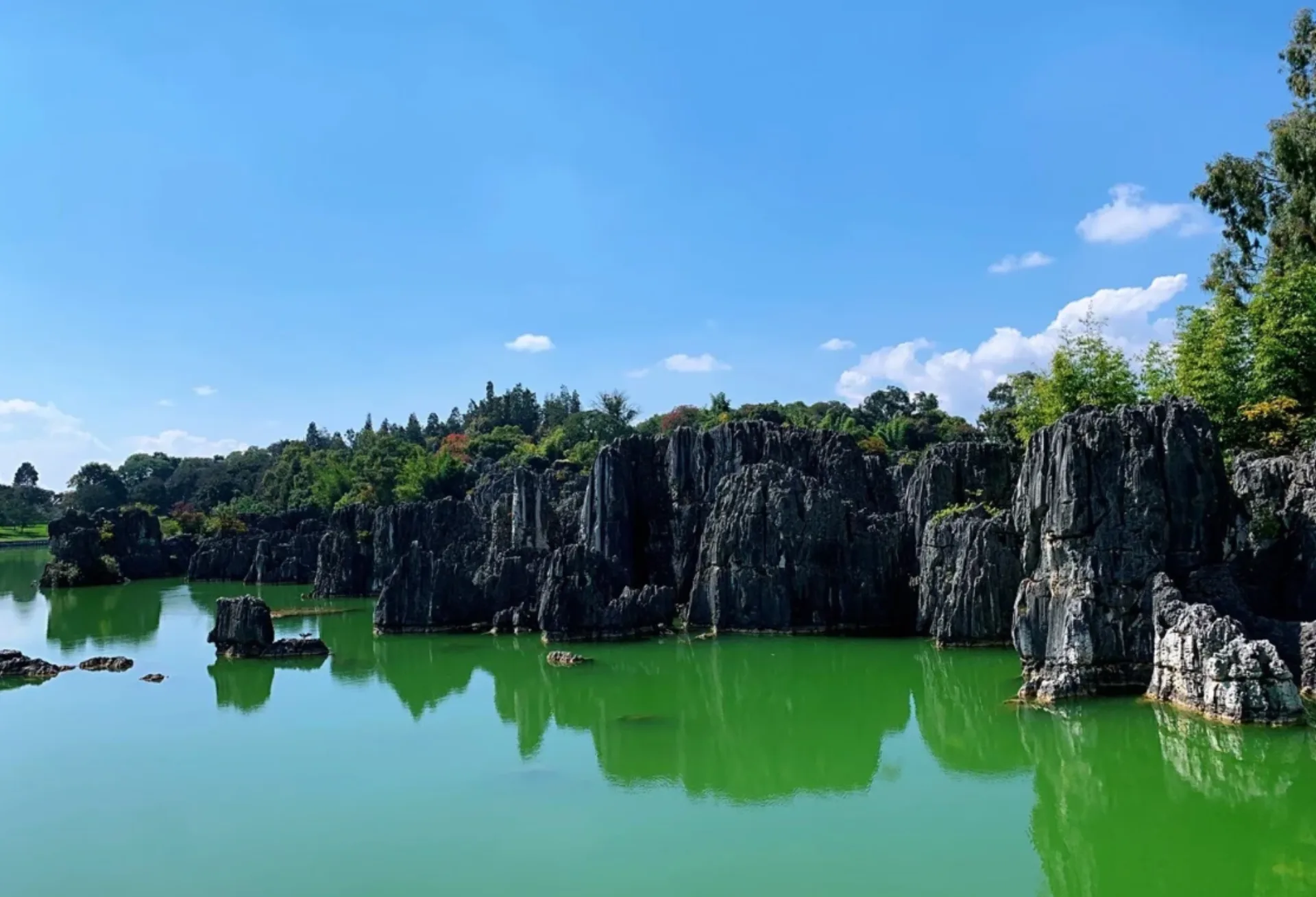 Stone Forest & Jiuxiang Scenic Area - Photo 1